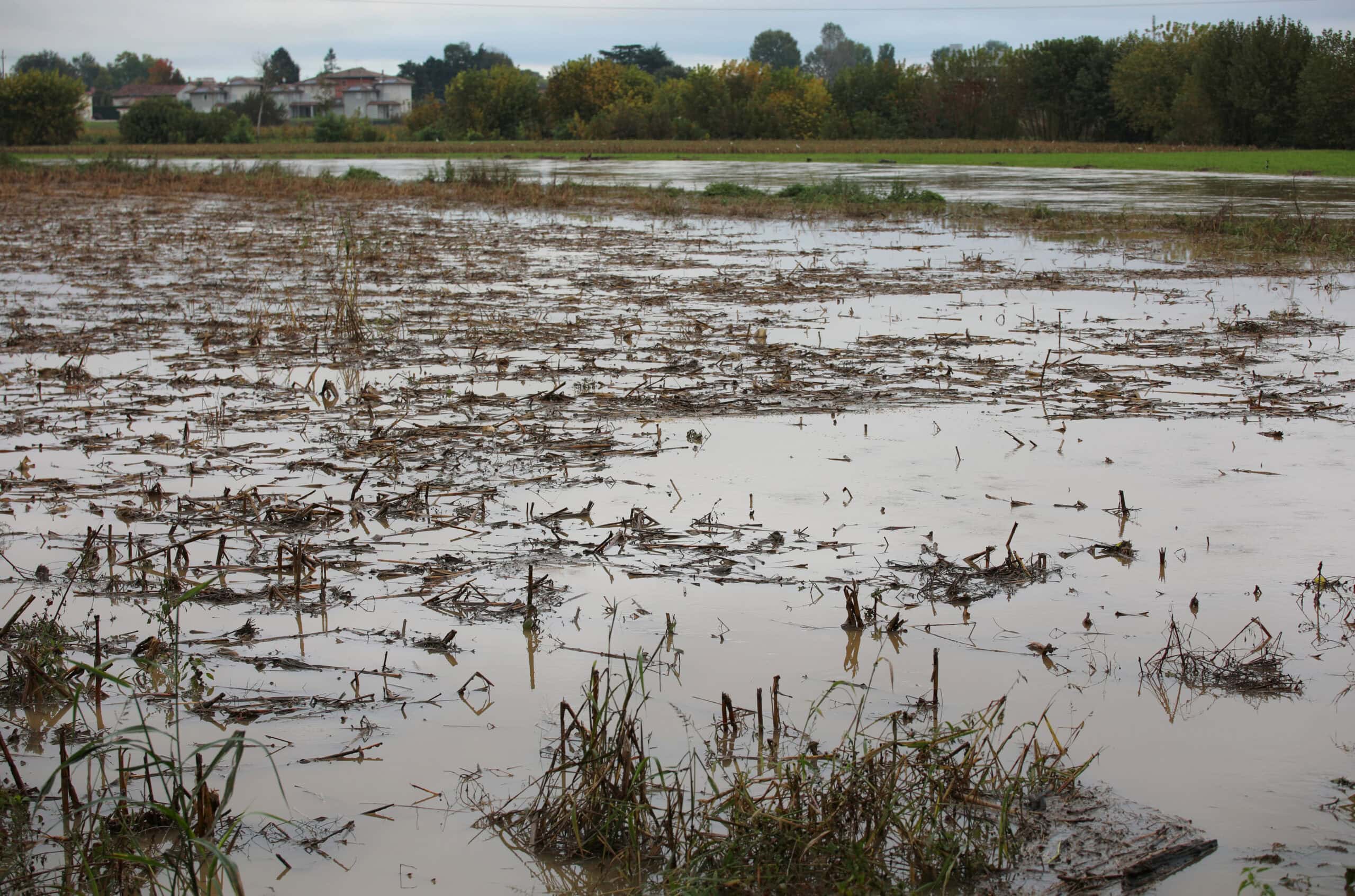 flooded farmland