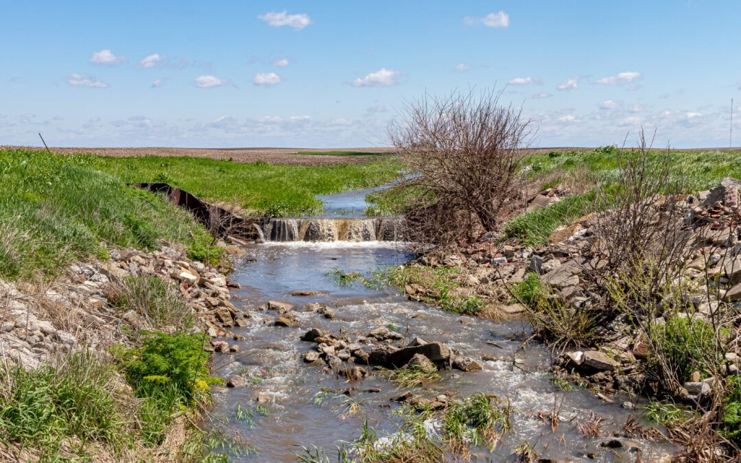 Water flowing through farm field in waterway.