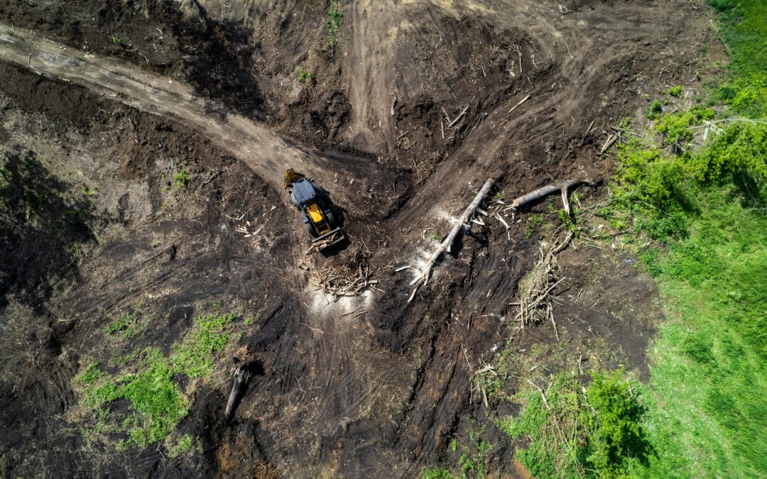 drone view of a tractor that works on landscaping. harvesting the branches of felled trees with a tractor