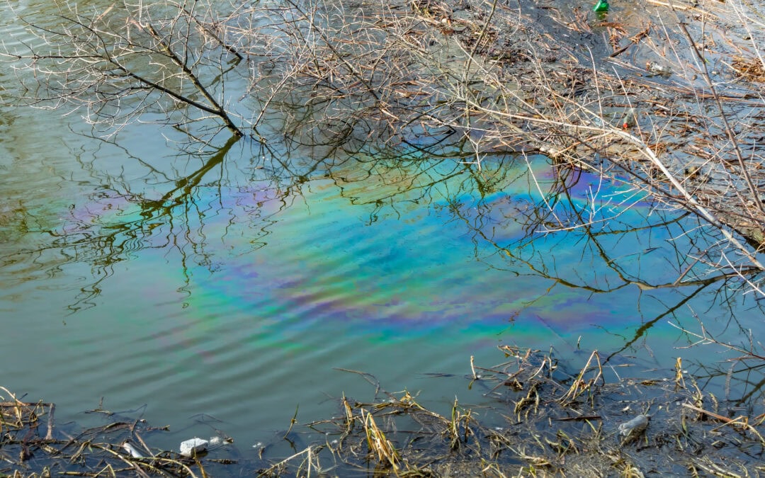colorful oily film on the surface water in the river