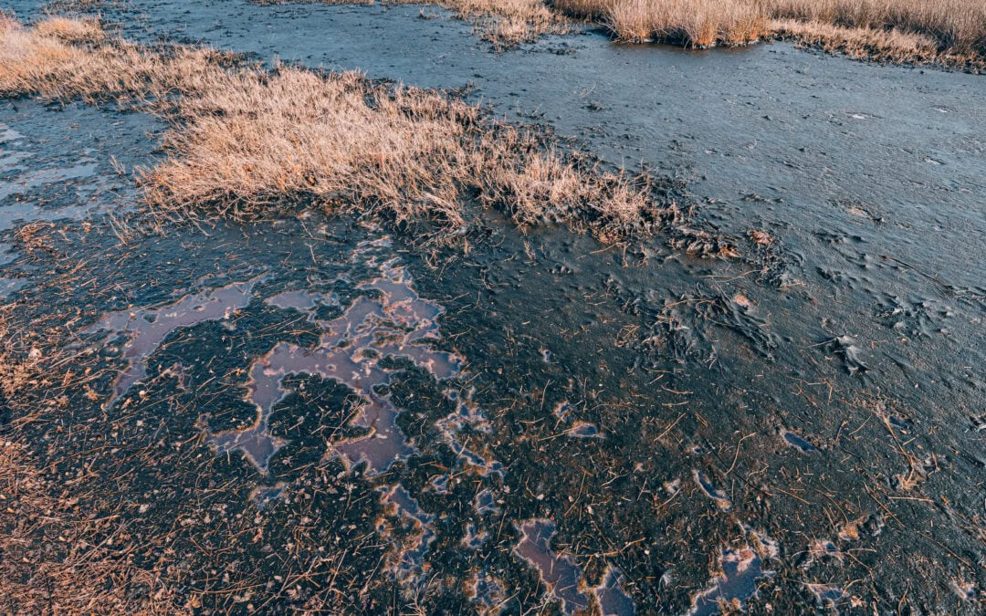 spilled oil polluting the soil and water in a nature area