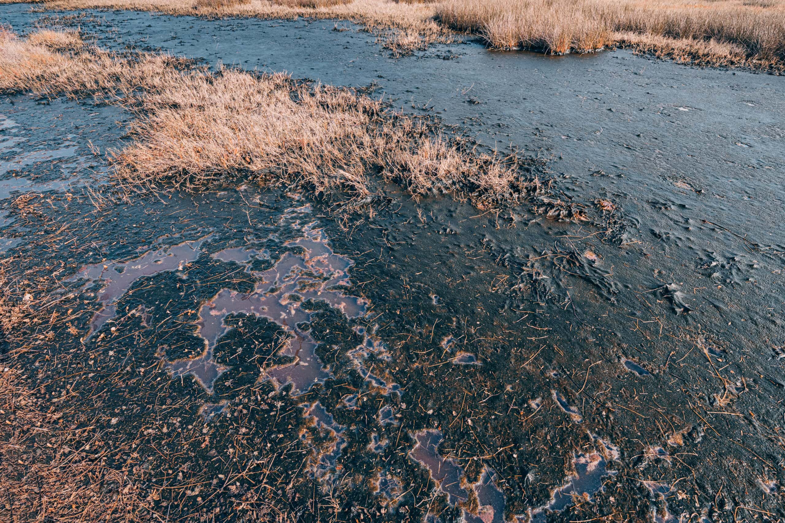 spilled oil polluting the soil and water in a nature area