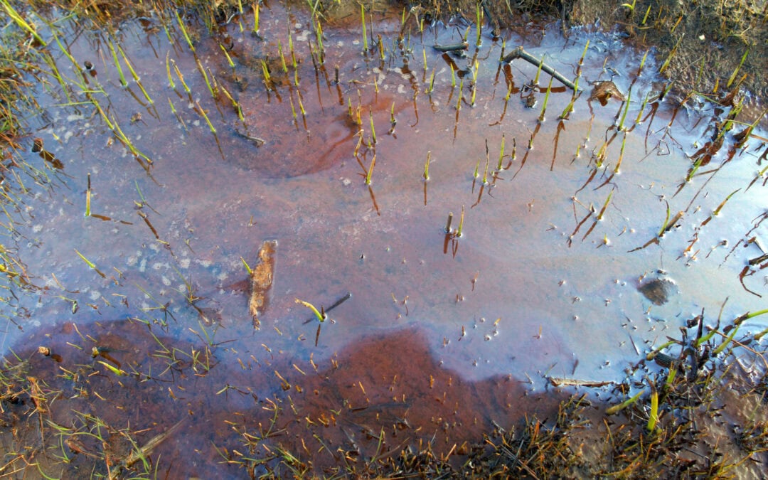 puddle of oil