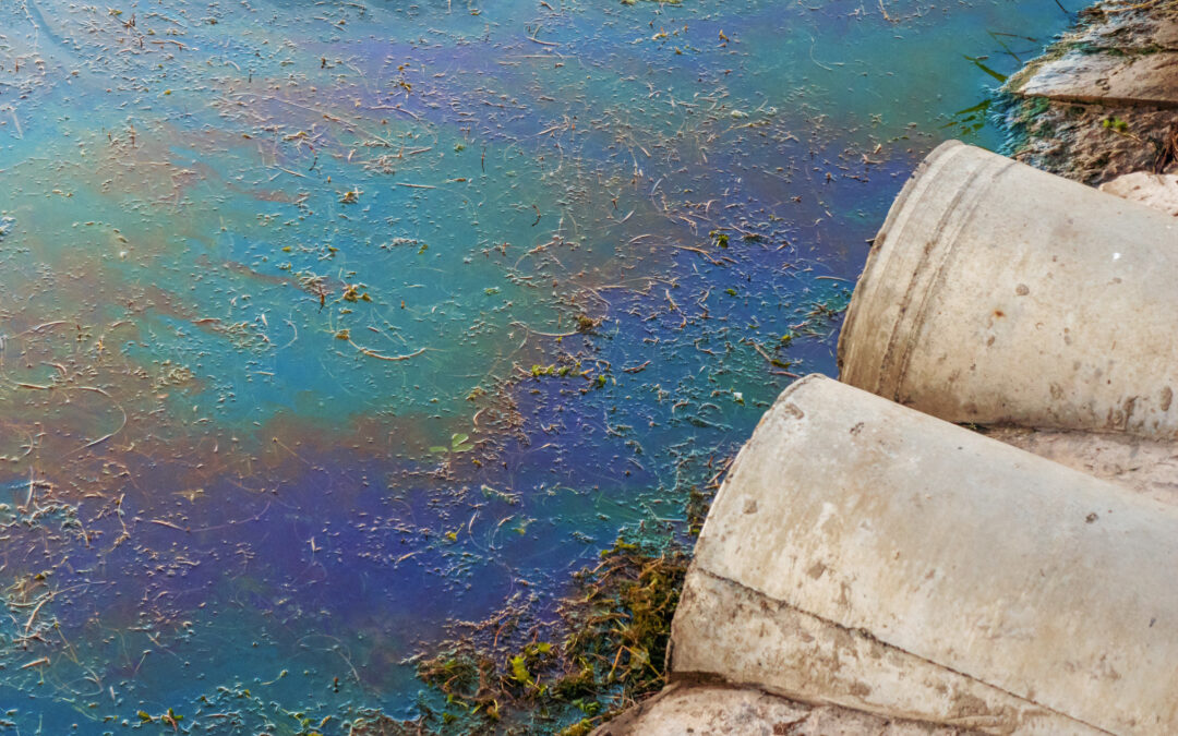 oil layer on water near sewer