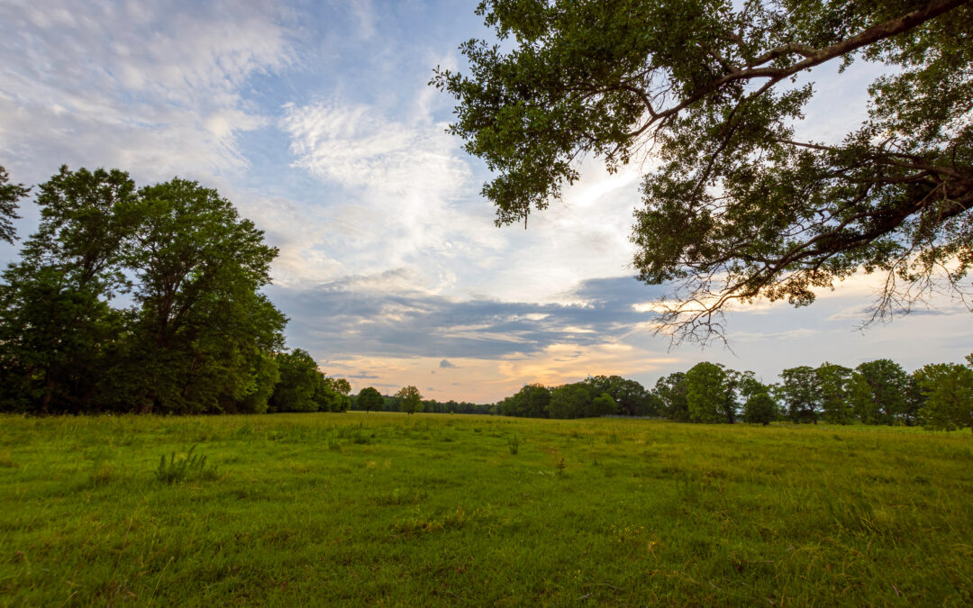 Peaceful country sunset