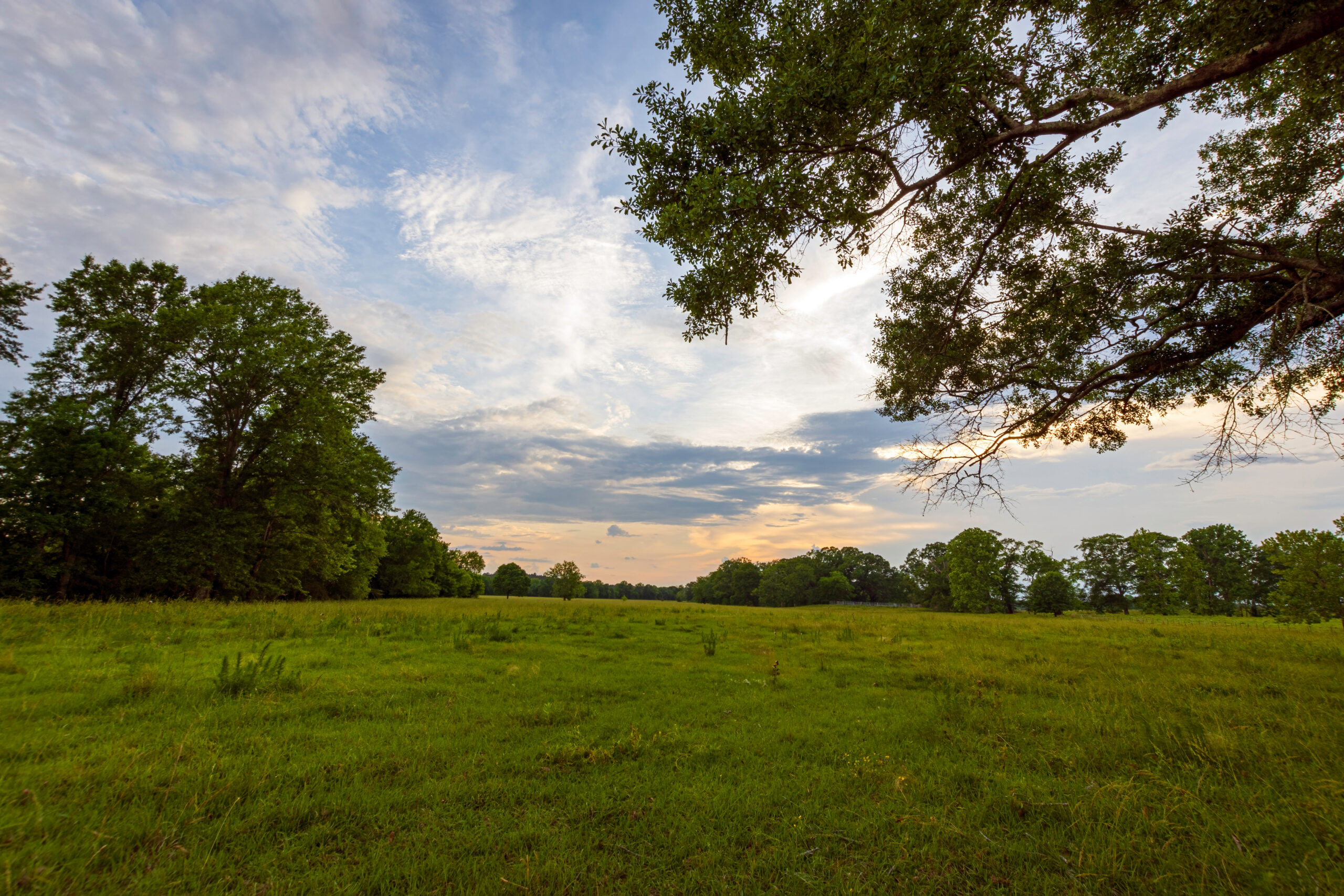 Peaceful country sunset