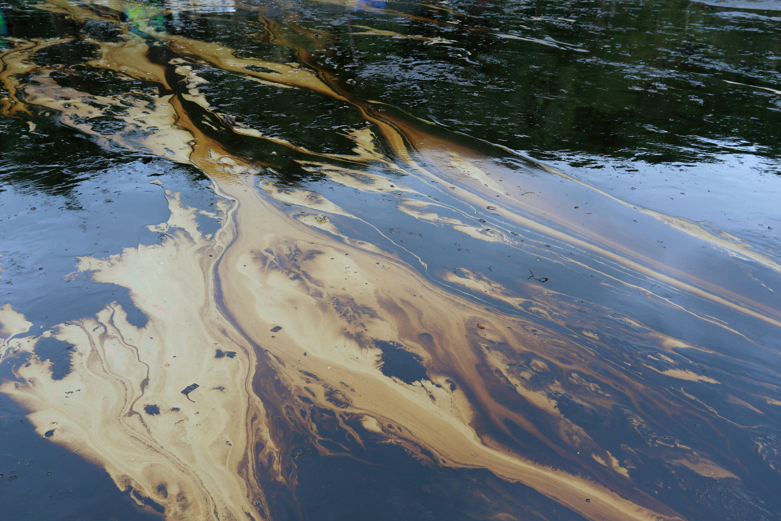 gulf oil spill on land