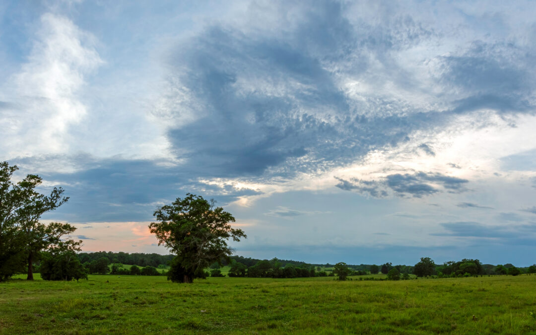 Panoramic view of countryside with dramatic sky